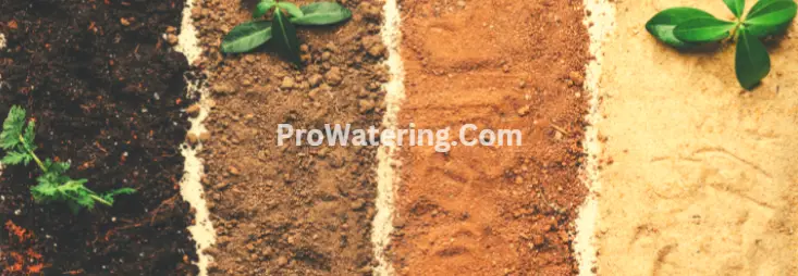 Soil type and quality