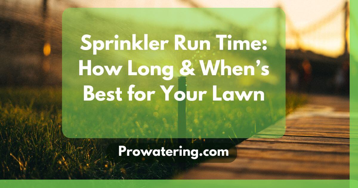 Sprinkler Run Time How Long & When’s Best for Your Lawn