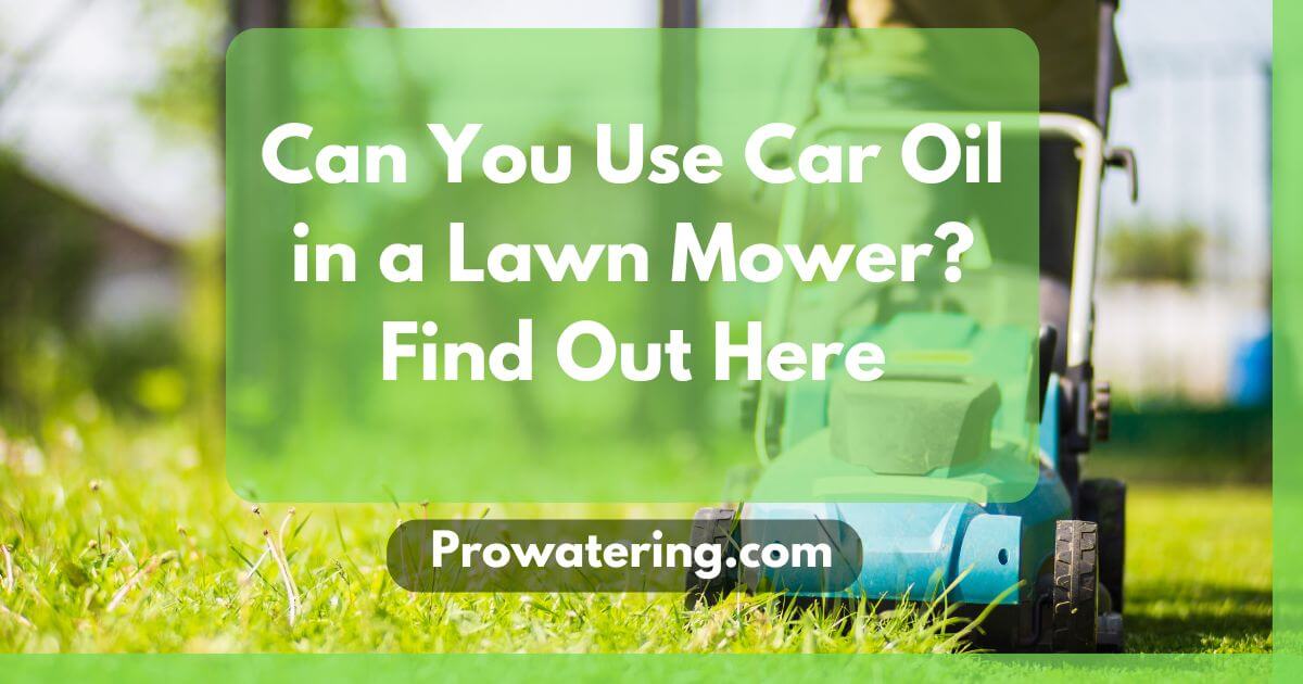 Can You Use Car Oil in a Lawn Mower