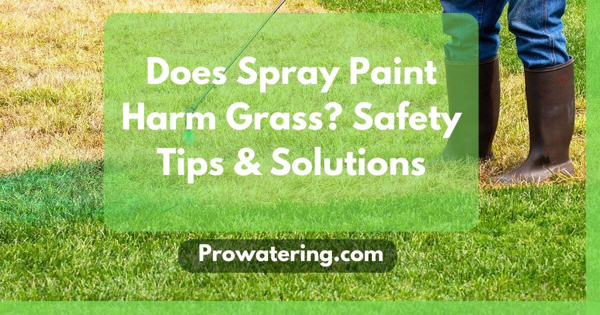 Does Spray Paint Harm Grass Safety Tips & Solutions