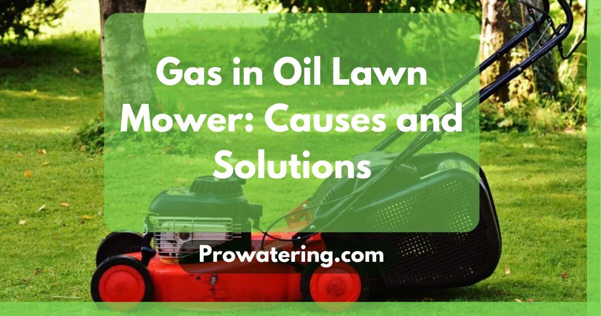 Read more about the article Gas in Oil Lawn Mower: Causes and Solutions