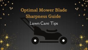 Read more about the article Optimal Mower Blade Sharpness Guide | Lawn Care Tips