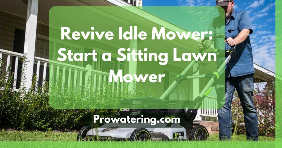 Read more about the article Revive Idle Mower: Start a Sitting Lawn Mower