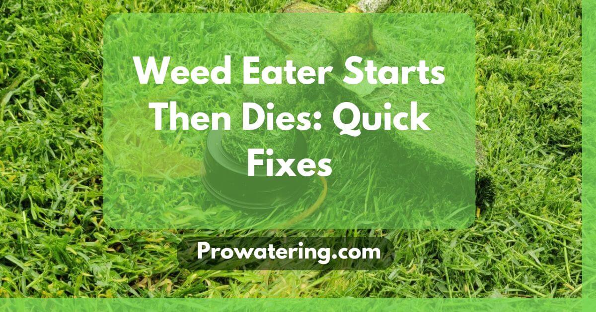 Weed Eater Starts Then Dies